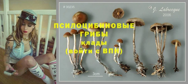 прущие крисы Богданович