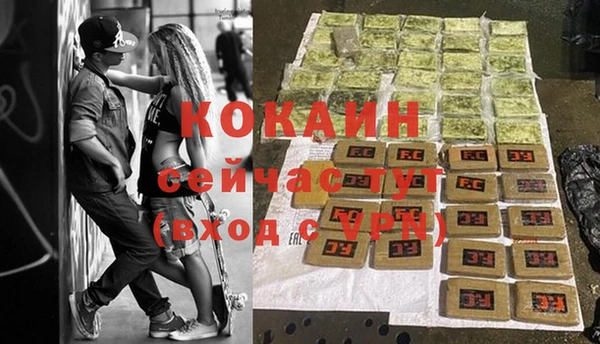 прущие крисы Богданович