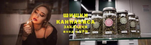 мдпв Богородск