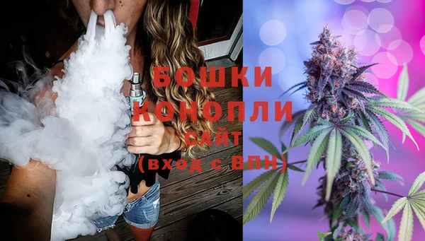мдпв Богородск
