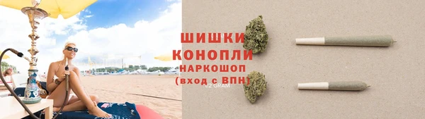 сатива Богородицк