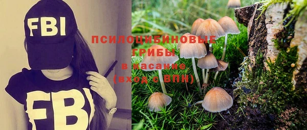 мдпв Богородск