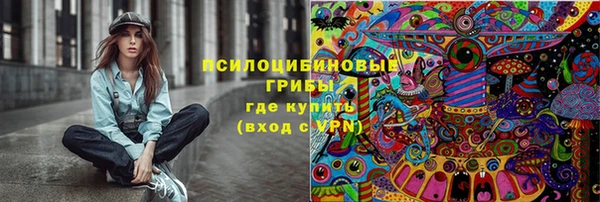 прущие крисы Богданович