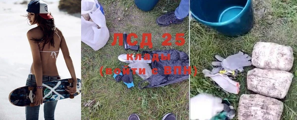 сатива Богородицк